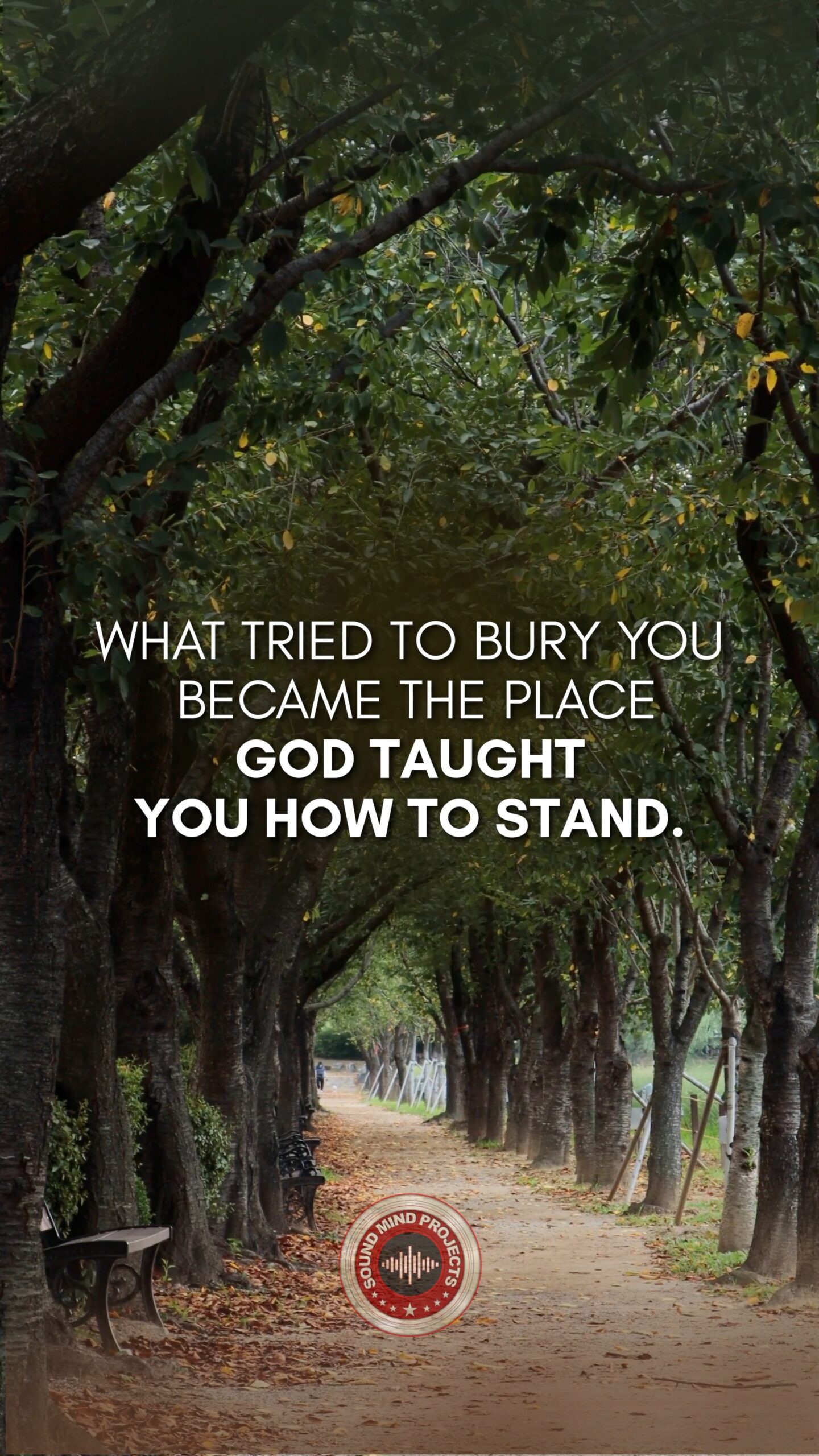 #60: When Steadiness Starts to Grow