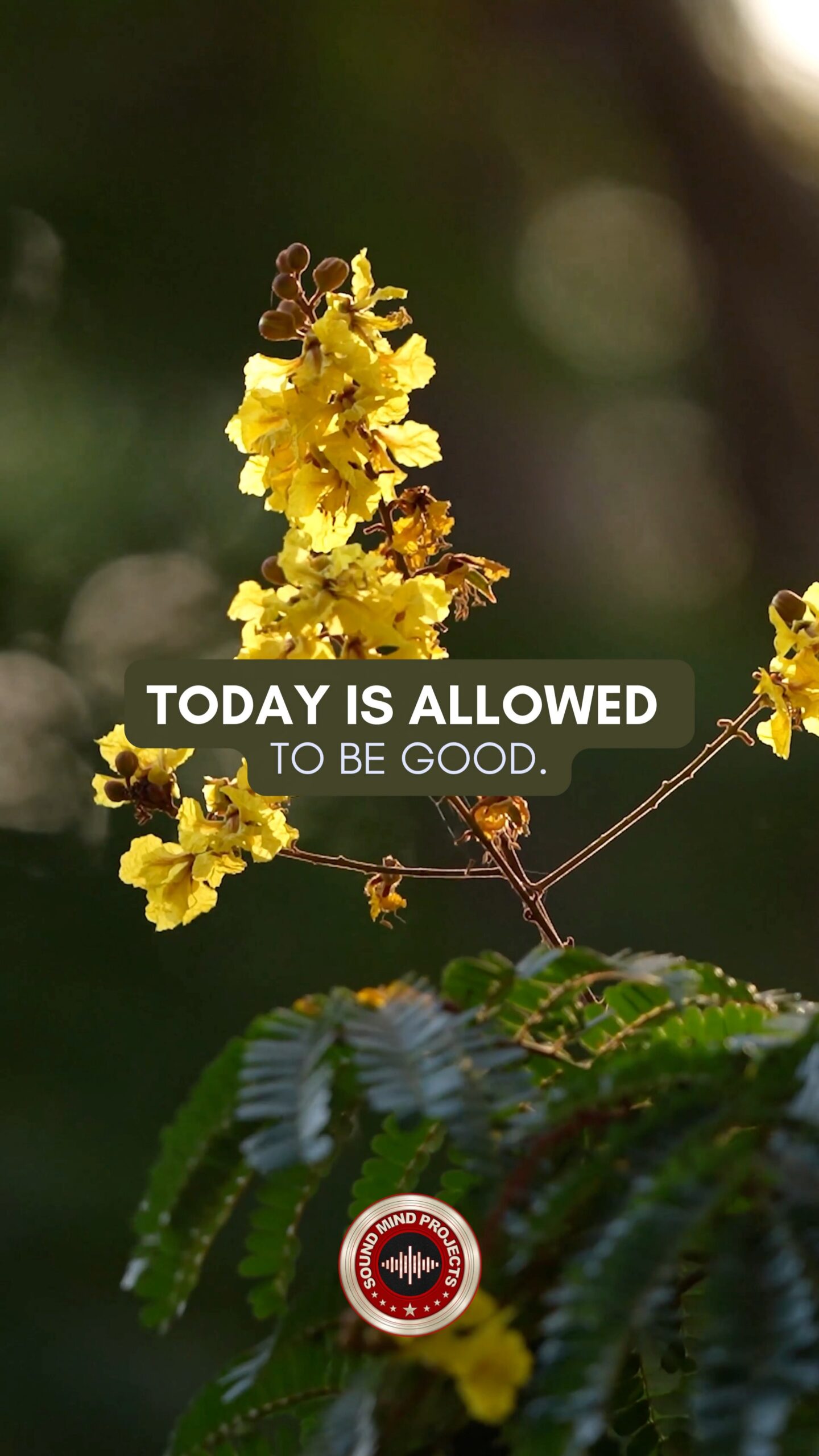 #63: Today is Allowed To Be Good