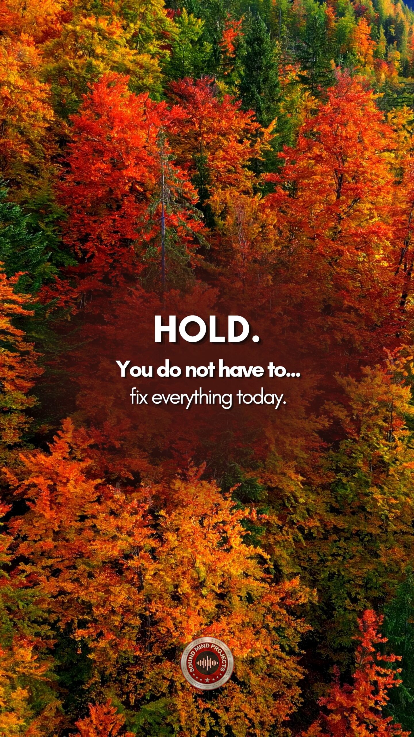 #68: Hold.